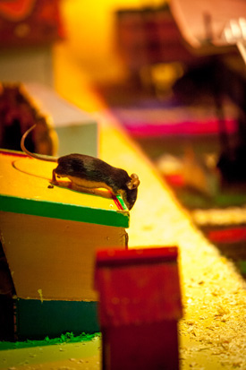 Een muis op het dak in de Muizenstad